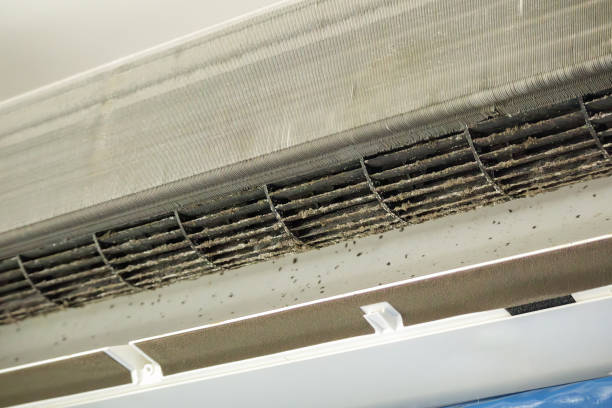 Best Local Air Duct Cleaning Services  in Sabina, OH